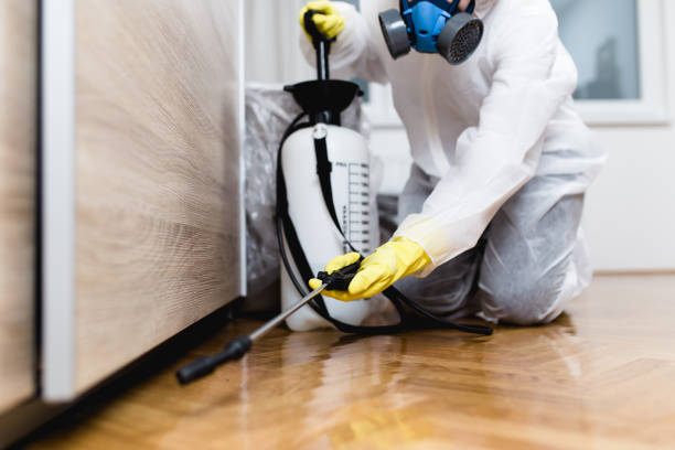 Best Local Pest Control Services  in Albany, MO