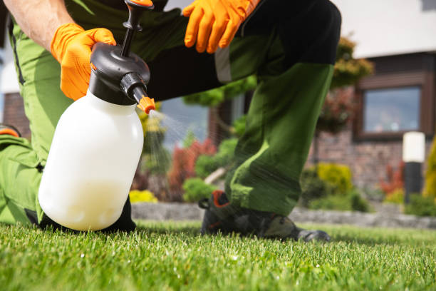 Best Pest Control Near Me  in Albany, MO