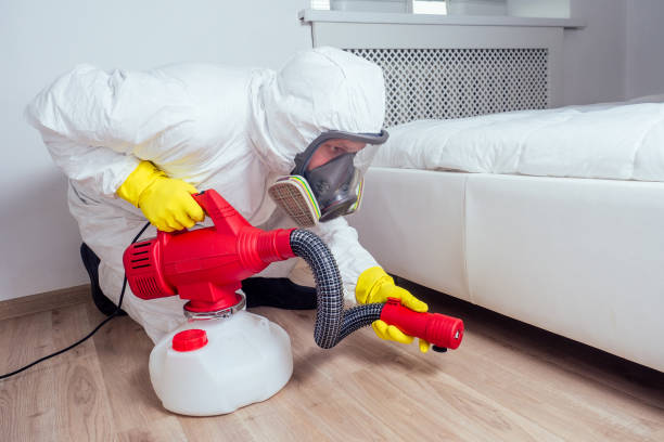 Best Wasp Removal Services  in Albany, MO