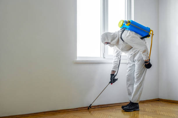 Best Mosquito Control Services  in Albany, MO